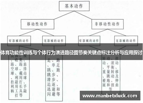 体育功能性训练与个体行为演进路径图节奏关键点标注分析与应用探讨